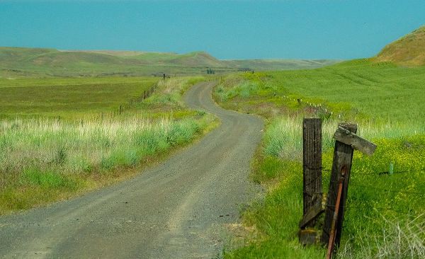 Gulin, Sylvia 아티스트의 USA-Washington State-Eastern Washington near Benge and curved gravel road작품입니다.
